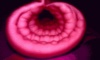 2017-03-11 08.46.59